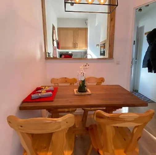 شقة Chamois De Chamonix, Confortable 2 Pieces, Balcon, Parking Gratuit شامونكس